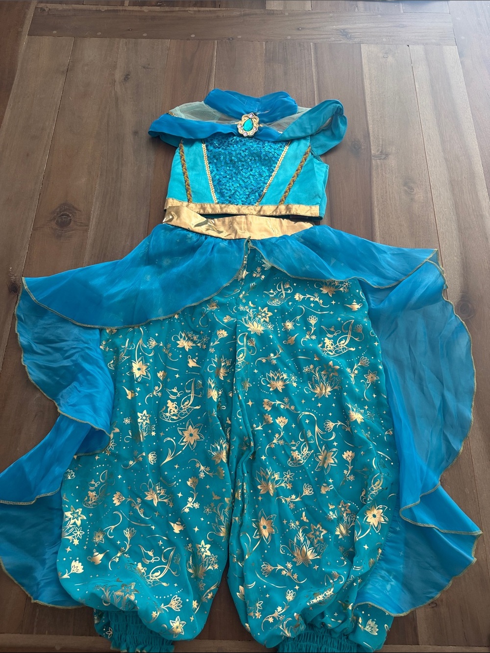 Disneyland Parks Princess Jasmine Dress Size 5/6